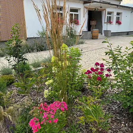 Vegas Гостевой дом 3*