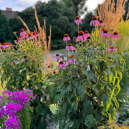 Гостевой дом Vegas Hrinova